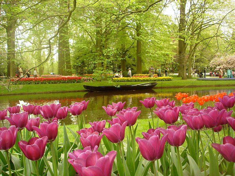 1. Keukenhof, Hà Lan: Nằm ở thị trấn nhỏ Lisse, phía nam Amsterdam, Hà Lan, khu vườn hoa Keukenhof thực sự thu hút du khách với rừng hoa sặc sỡ. Mỗi khu vườn nơi đây đều được các nhân viên chăm chút hết sức kĩ lưỡng.